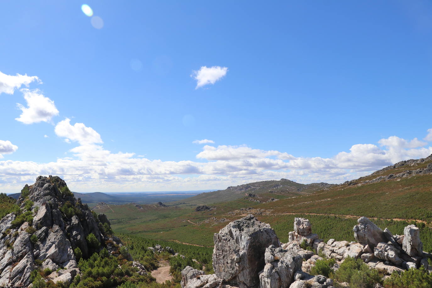 Imagen del monte quemado, diez años después. 