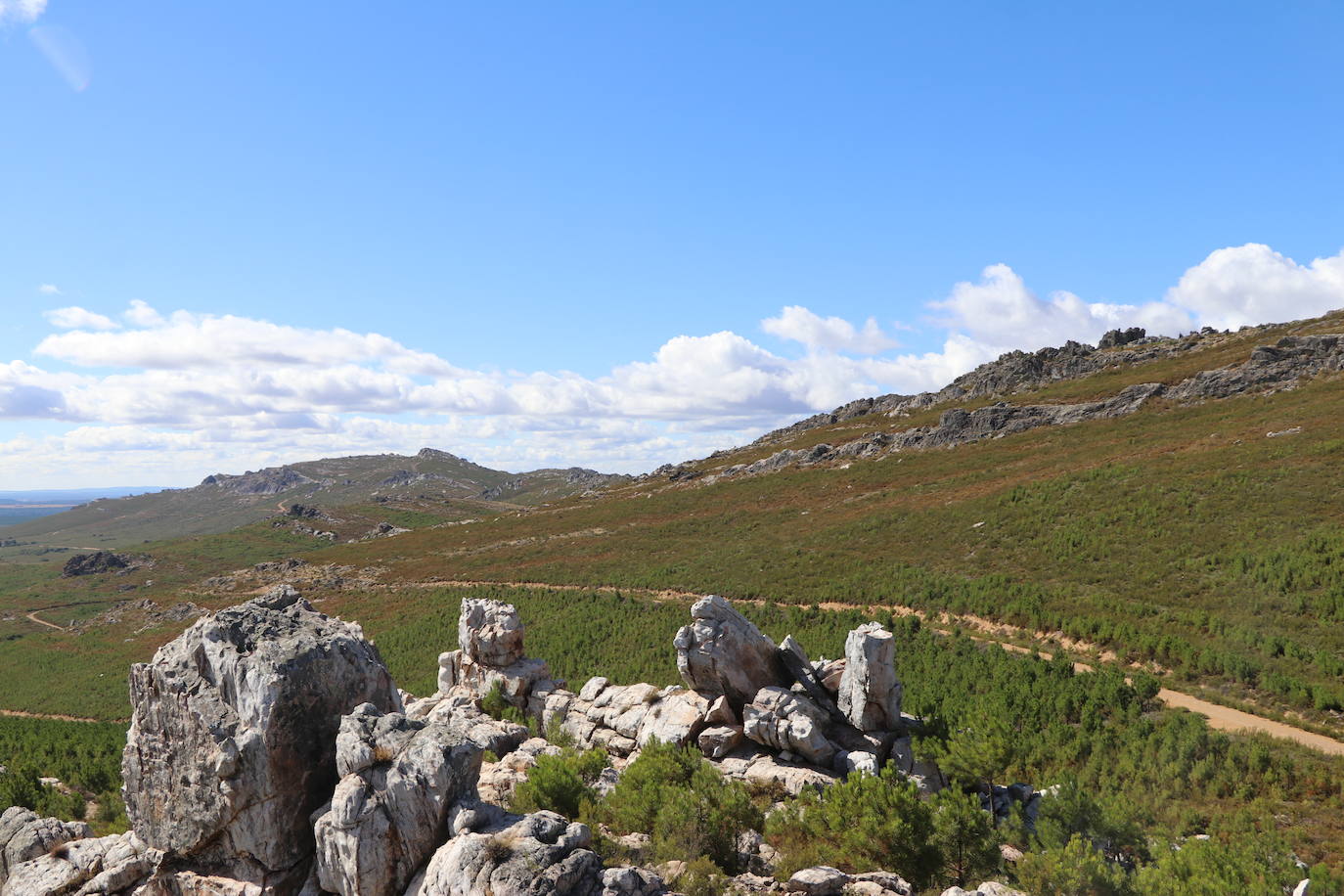 Imagen del monte quemado, diez años después