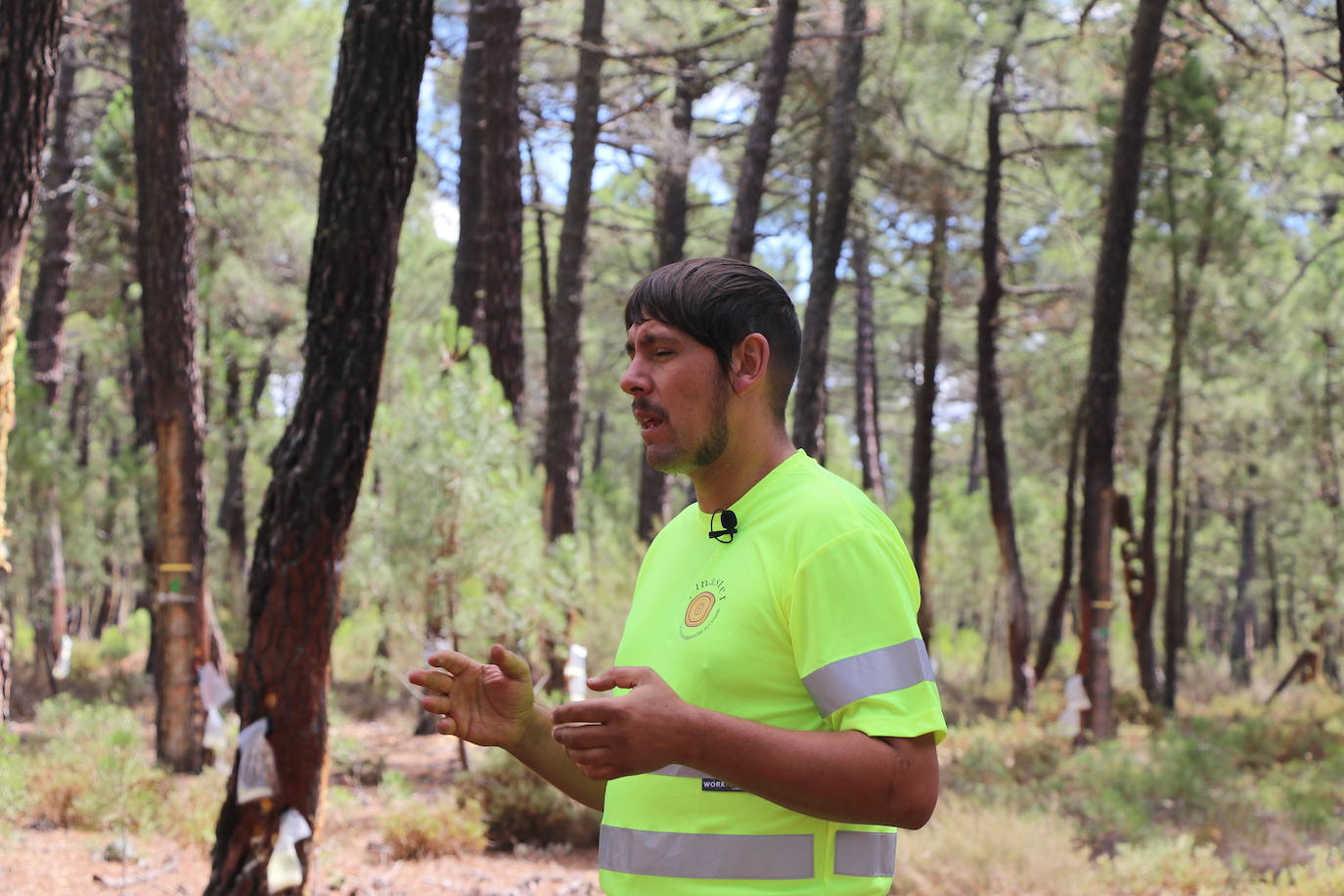 Alejandro García es uno de los resineros que han decidido asentarse en la sierra del Teleno. 