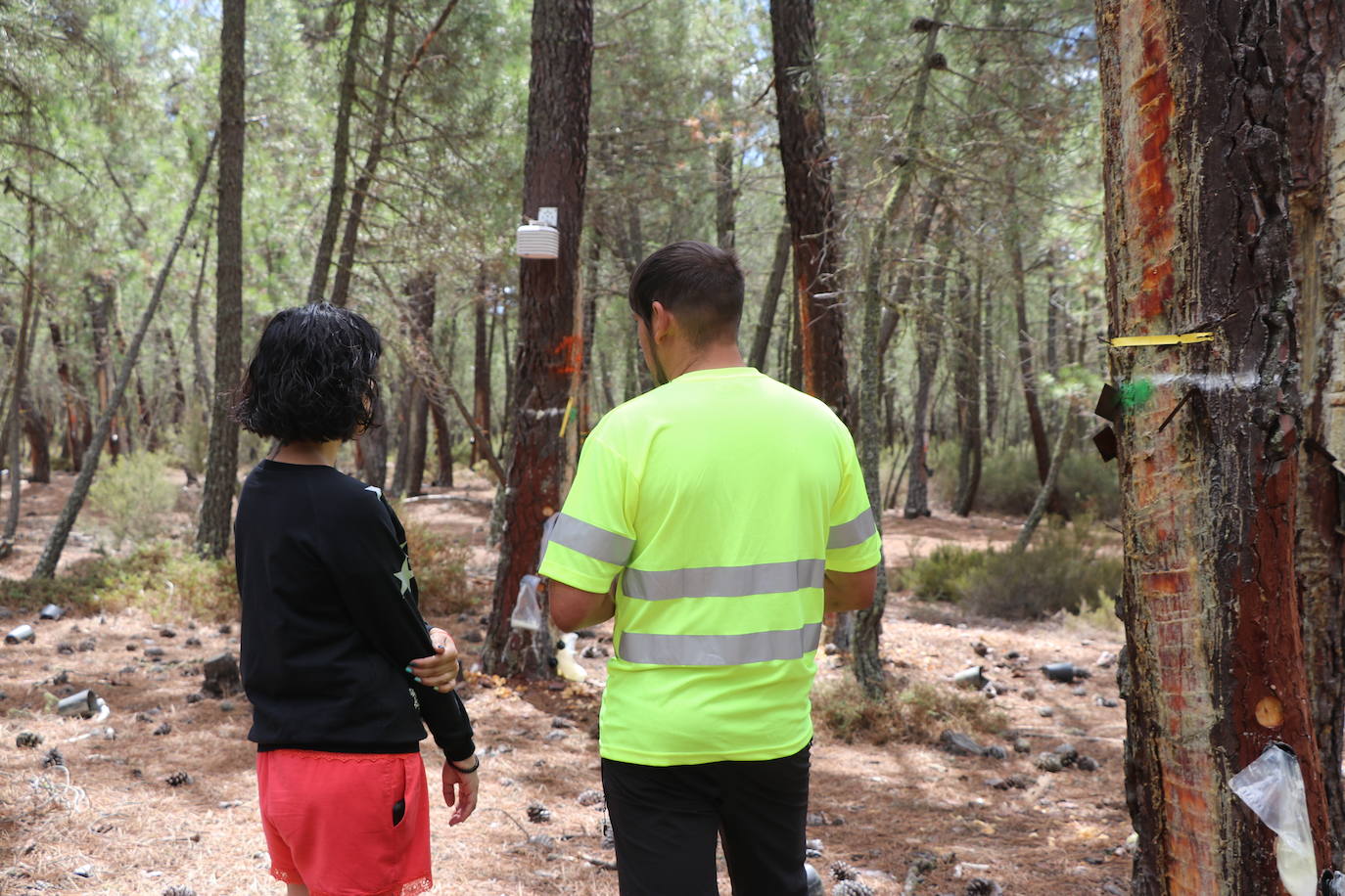 Alejandro García es uno de los resineros que han decidido asentarse en la sierra del Teleno. 