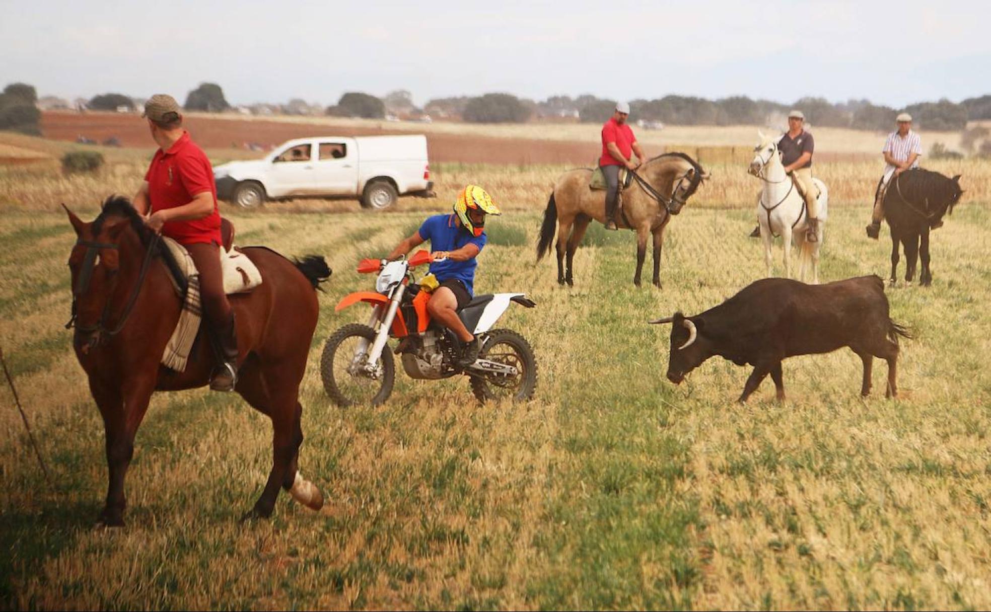 Imagen de años anteriores en el encierro de Villaornate. 