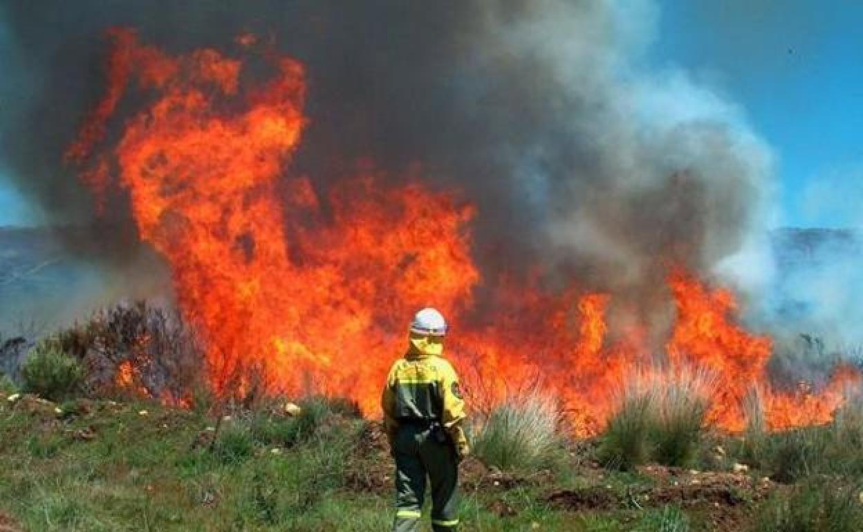 Incendios en Castilla y León.