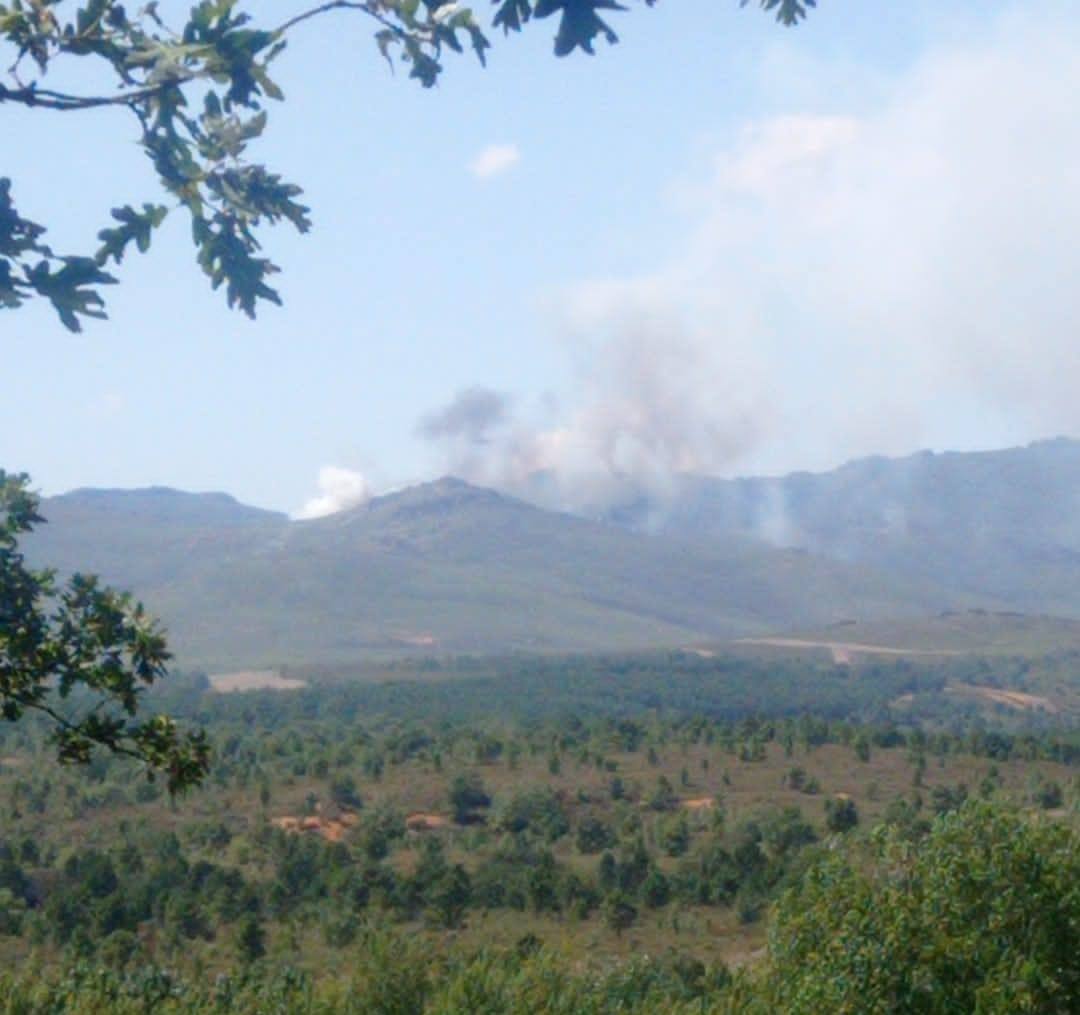 Las imágenes las han tomado las Brigadas de Refuerzo en Incendios Forestales, quienes han remarcado que las llamas se encuentran en el Campo de tiro y no pueden actuar por peligro de explosión de artefactos sin detonar. 