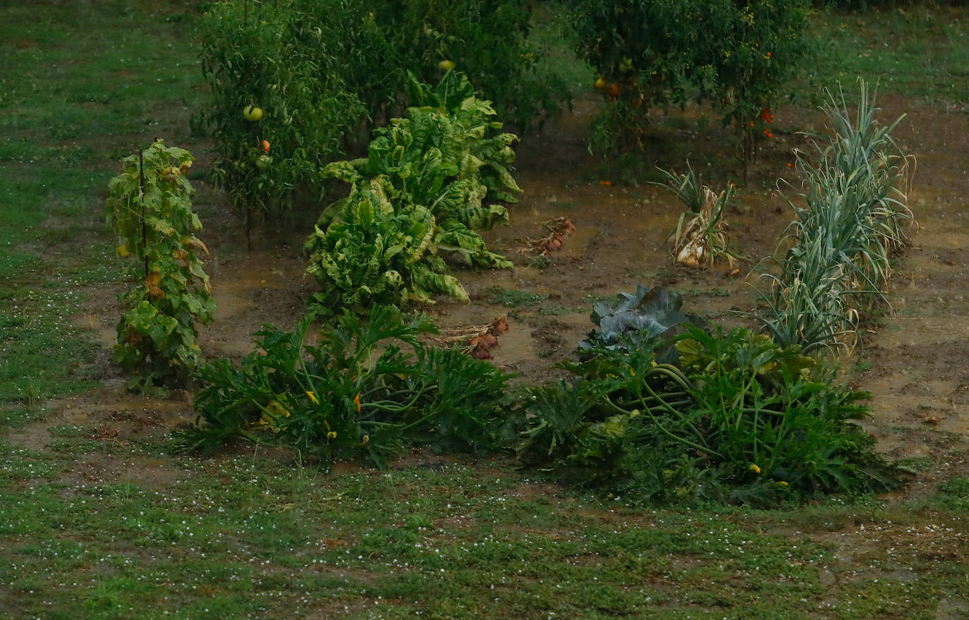 Las tormentas de la pasada noche dejan fuertes granizos en varios puntos del Bierzo.