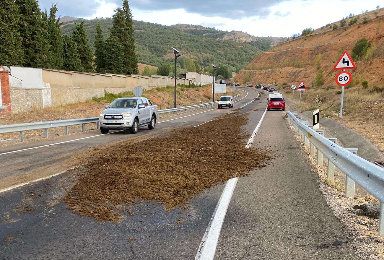 Un camión pierde su carga de estiércol en uno de los accesos a la localidad de Cistierna. La pérdida de la carga limitó el tráfico en ese punto del vial en una jornada marcada por la llegada a la localidad de la Vuelta a España. 