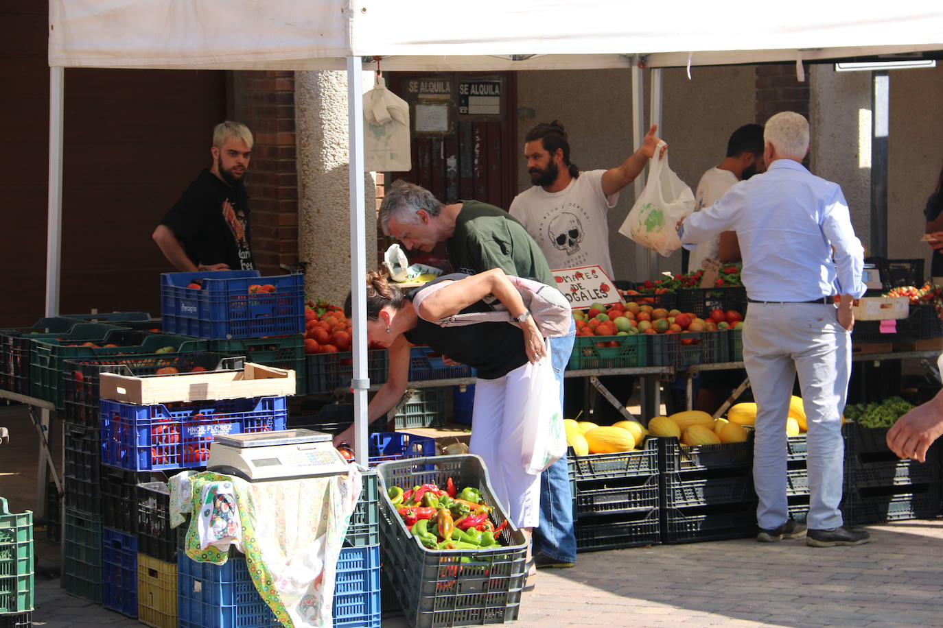 Imágenes de la Feria del Tomate de Mansilla en 2022