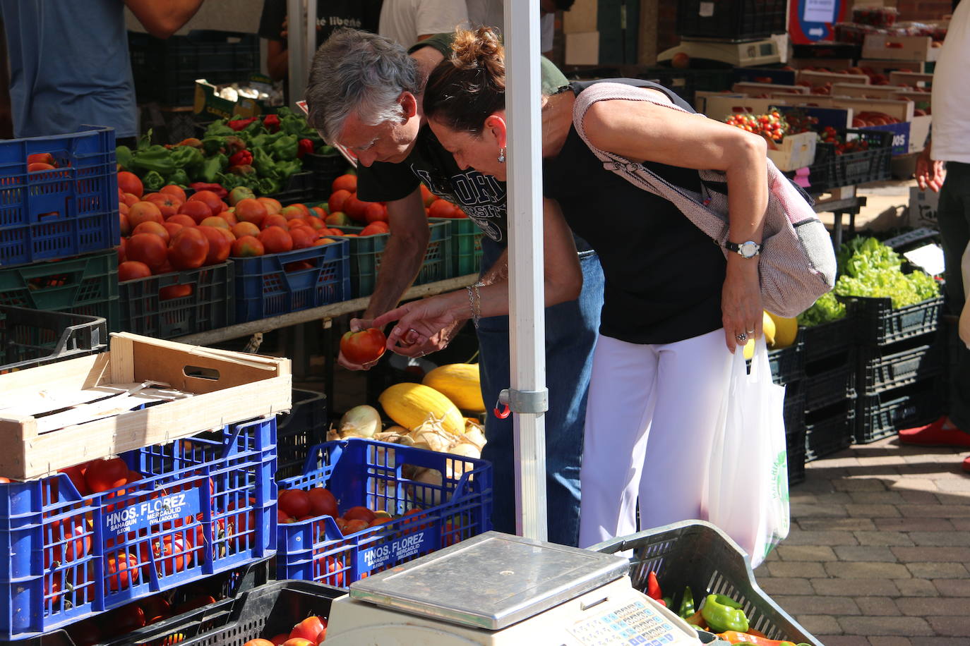 Galería. Imágenes de la Feria del Tomate en Mansilla 2022.