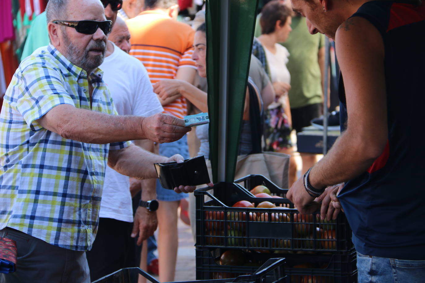 Imágenes de la Feria del Tomate de Mansilla en 2022