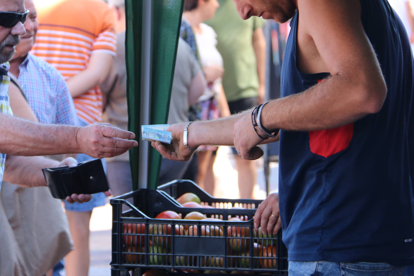 Imágenes de la Feria del Tomate de Mansilla en 2022