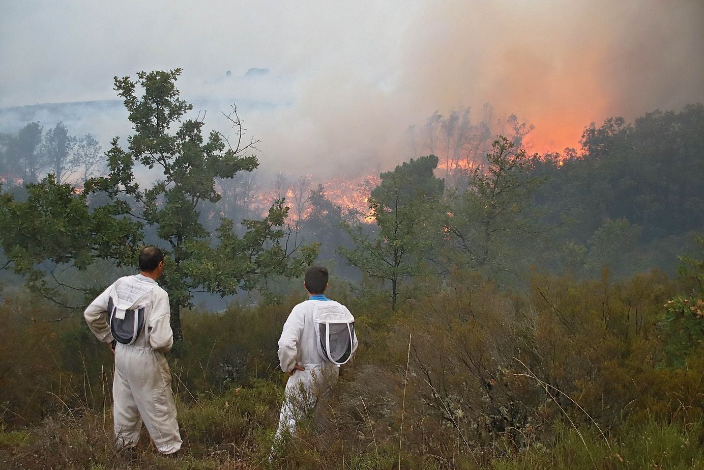 El incendio del Teleno amenaza las localidades de Boisán y Filiel. Los trabajos se centran en contener el avance de las llamas más allá del perímetro del campo de tiro. 