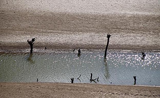 Estado de los embalses en la provincia de León.