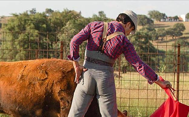 Galería. Javier Castaño toreando en la plaza y en el campo.