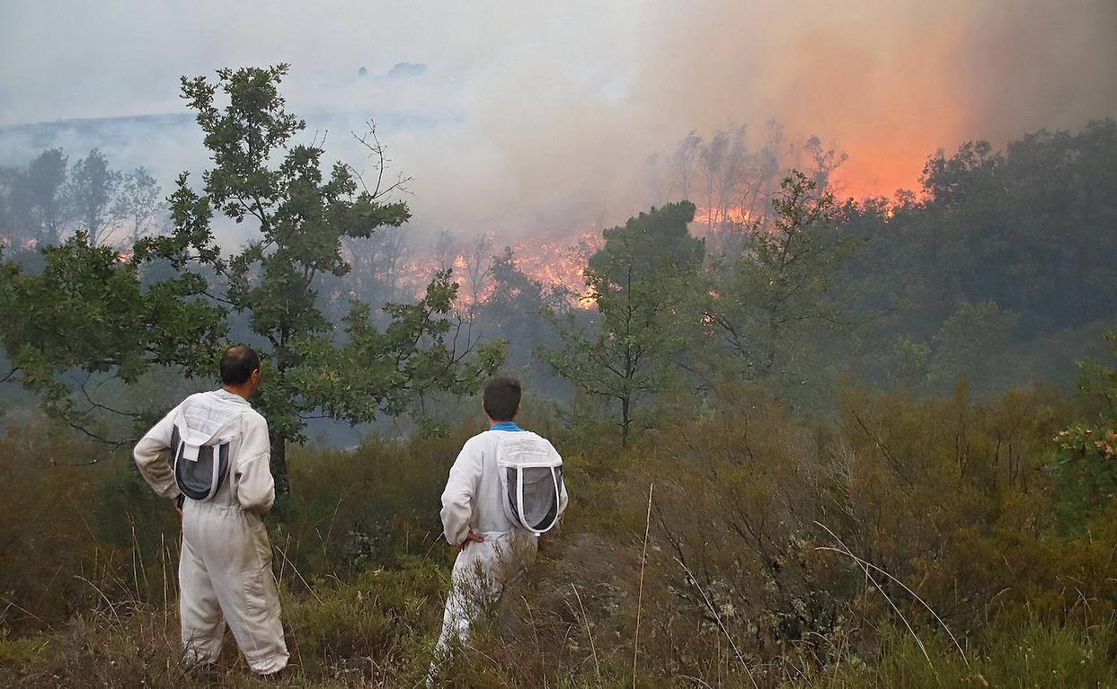 El incendio de El Teleno continúa en nivel 2 de peligro tras salir del límite del campo de tiro.