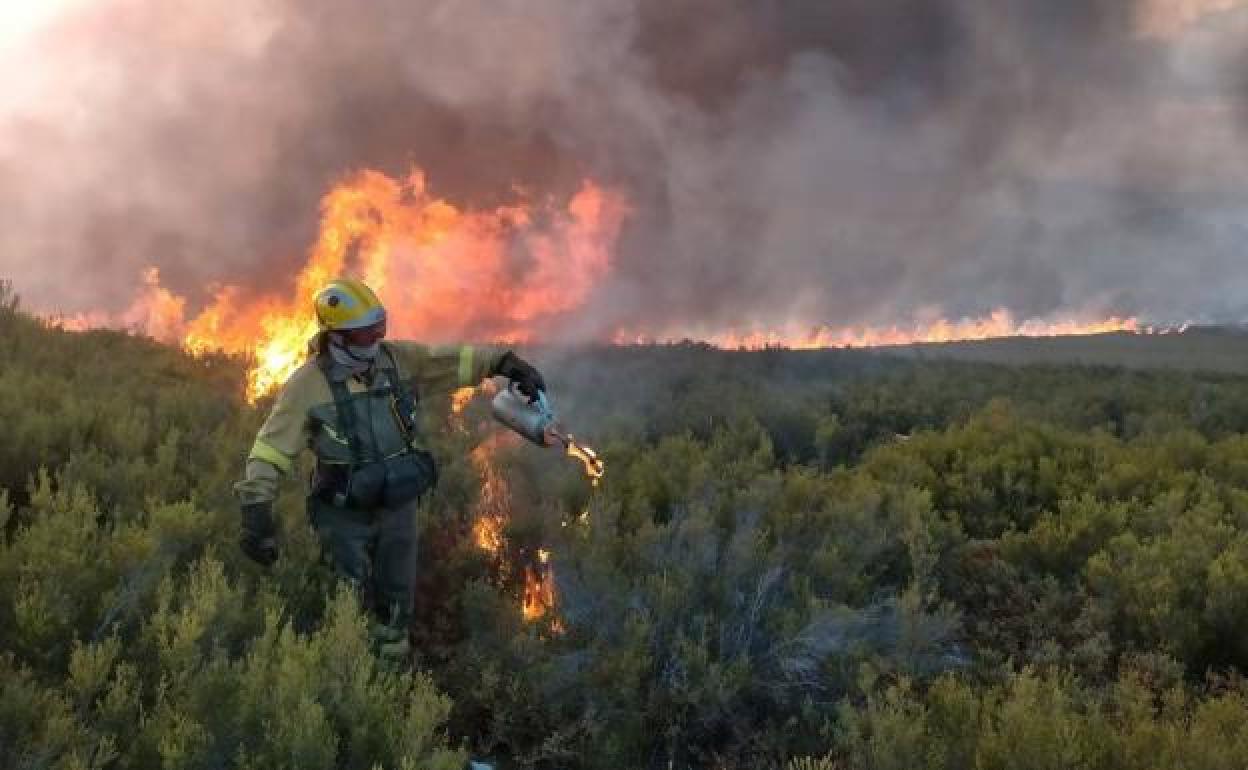 Las brigadas trabajan para sofocar las llamas en el incendio de Igüeña. 