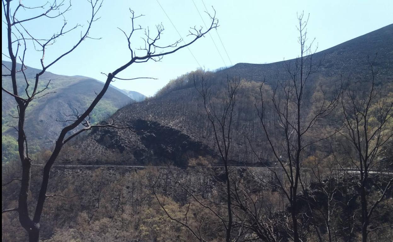 Imagen de la Tebaida Berciana.