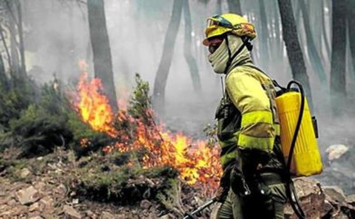 La Junta convoca ayudas para prevención, extinción de incendiso y salvamento.