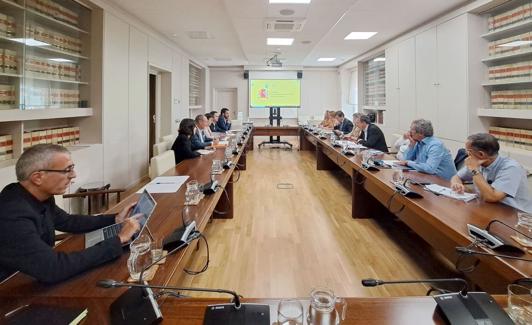 Un instante de la reunión mantenida en Madrid este miércoles. 