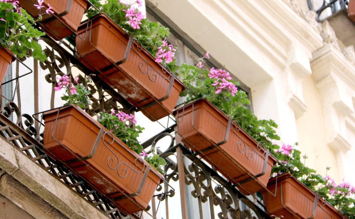 Maceteros de la calle Ancha de León.