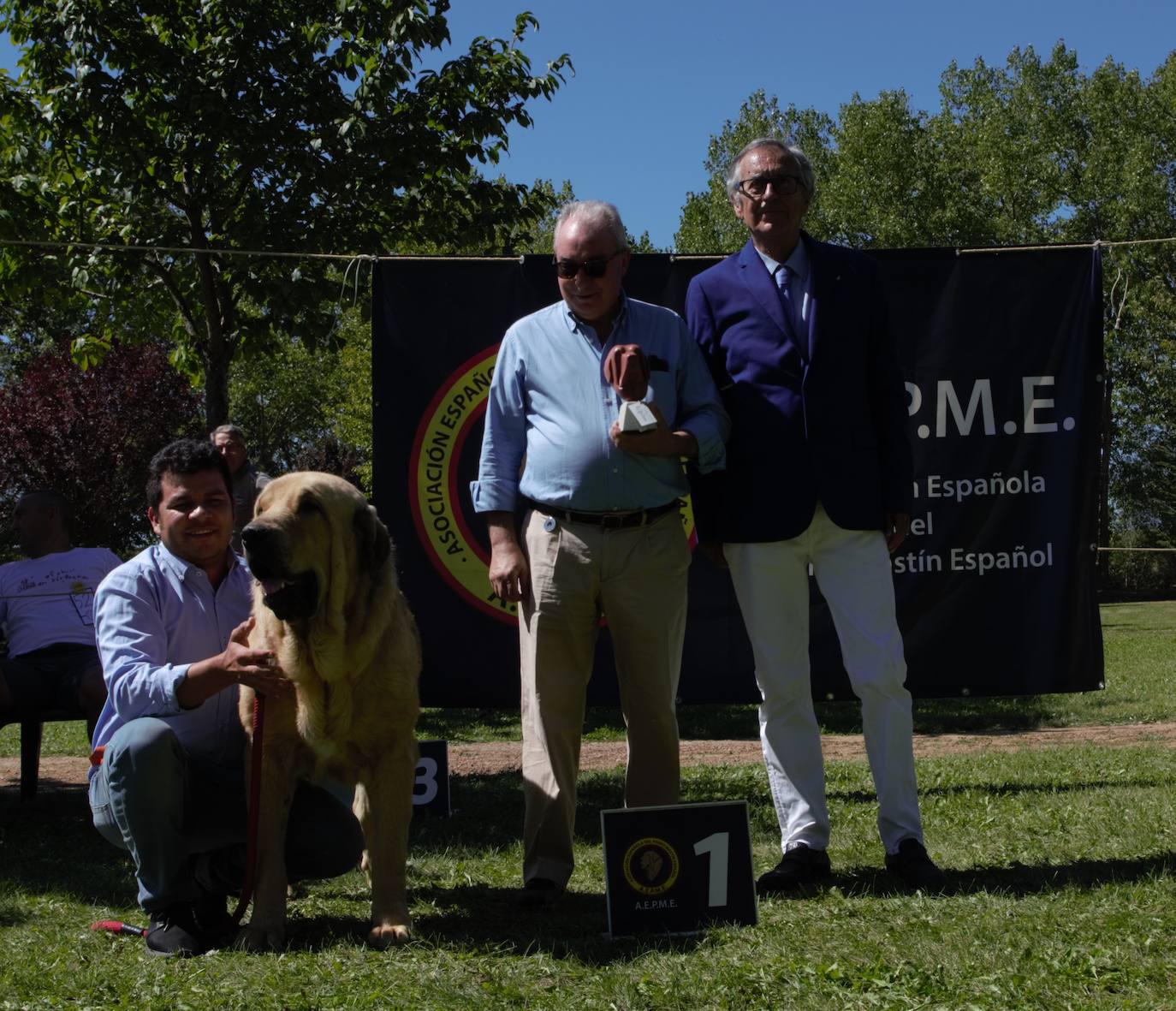 Los mastienes españoles en la exposición celebrada en Gordoncillo.