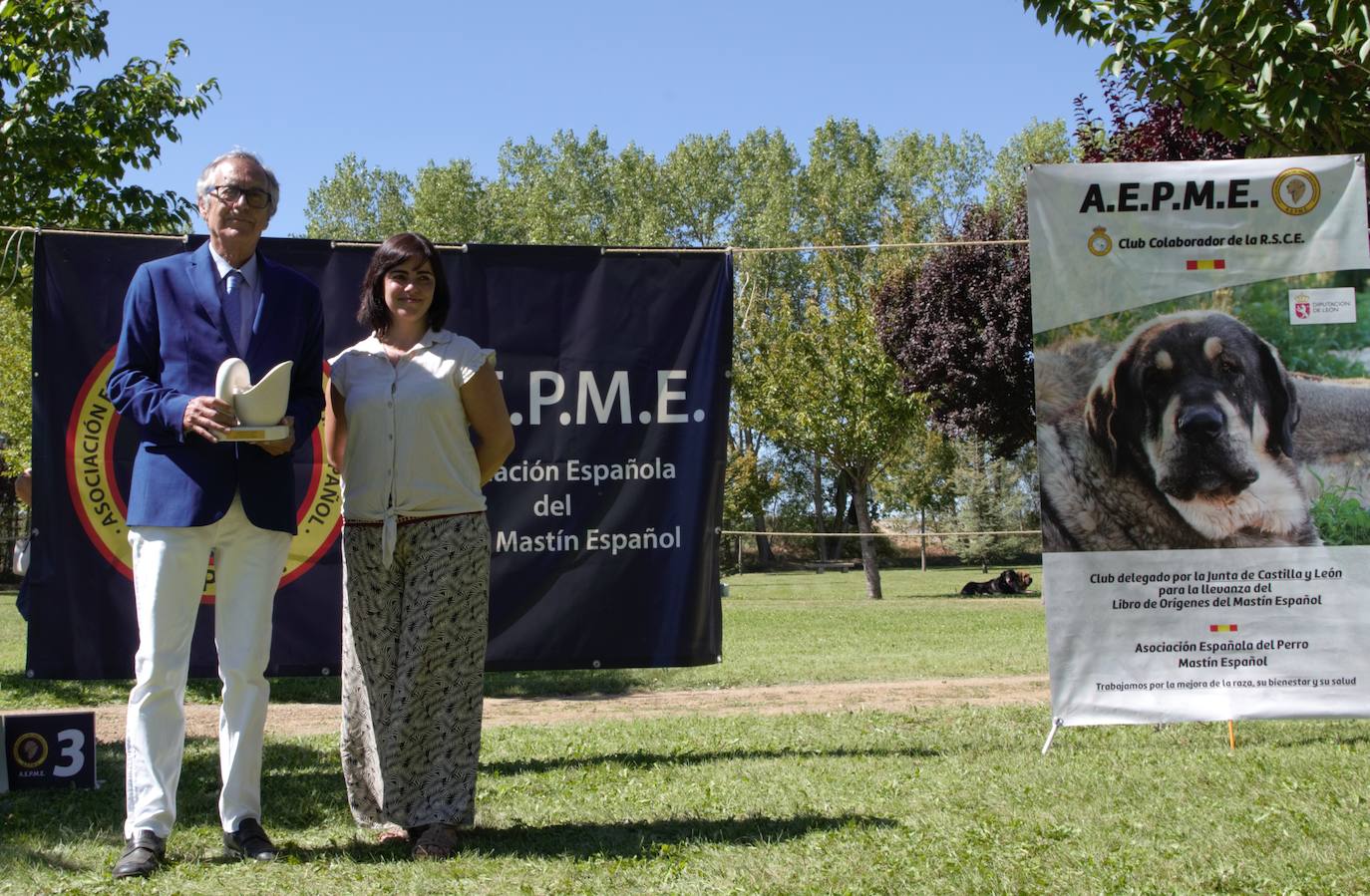 Los mastienes españoles en la exposición celebrada en Gordoncillo.