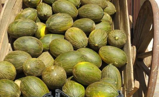 La venta de los tradicionales melones no faltarán en la cita. 