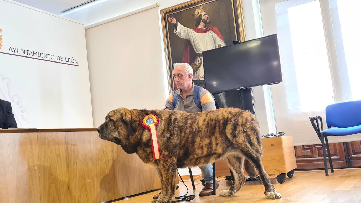 Fotos: Presentación de la Exposición Canina en León