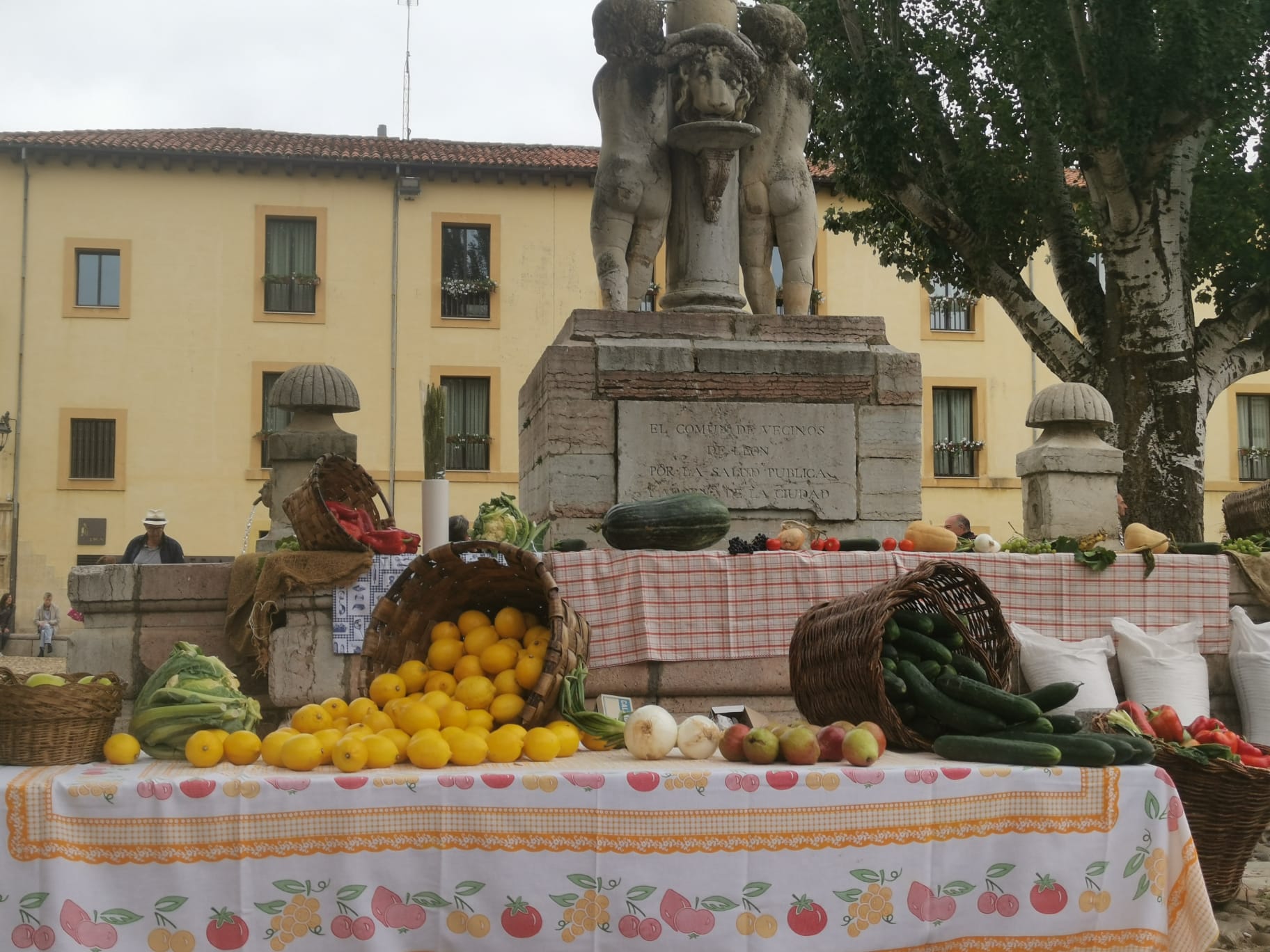 León ha vuelto a revivir La Melonera, después de dos años de pandemia, la Plaza del Grano se ha vuelto a vestir con paño y pañuelos de mil colores para hacer un homenaje a la tradición y recuperar la tradición de la ceiba