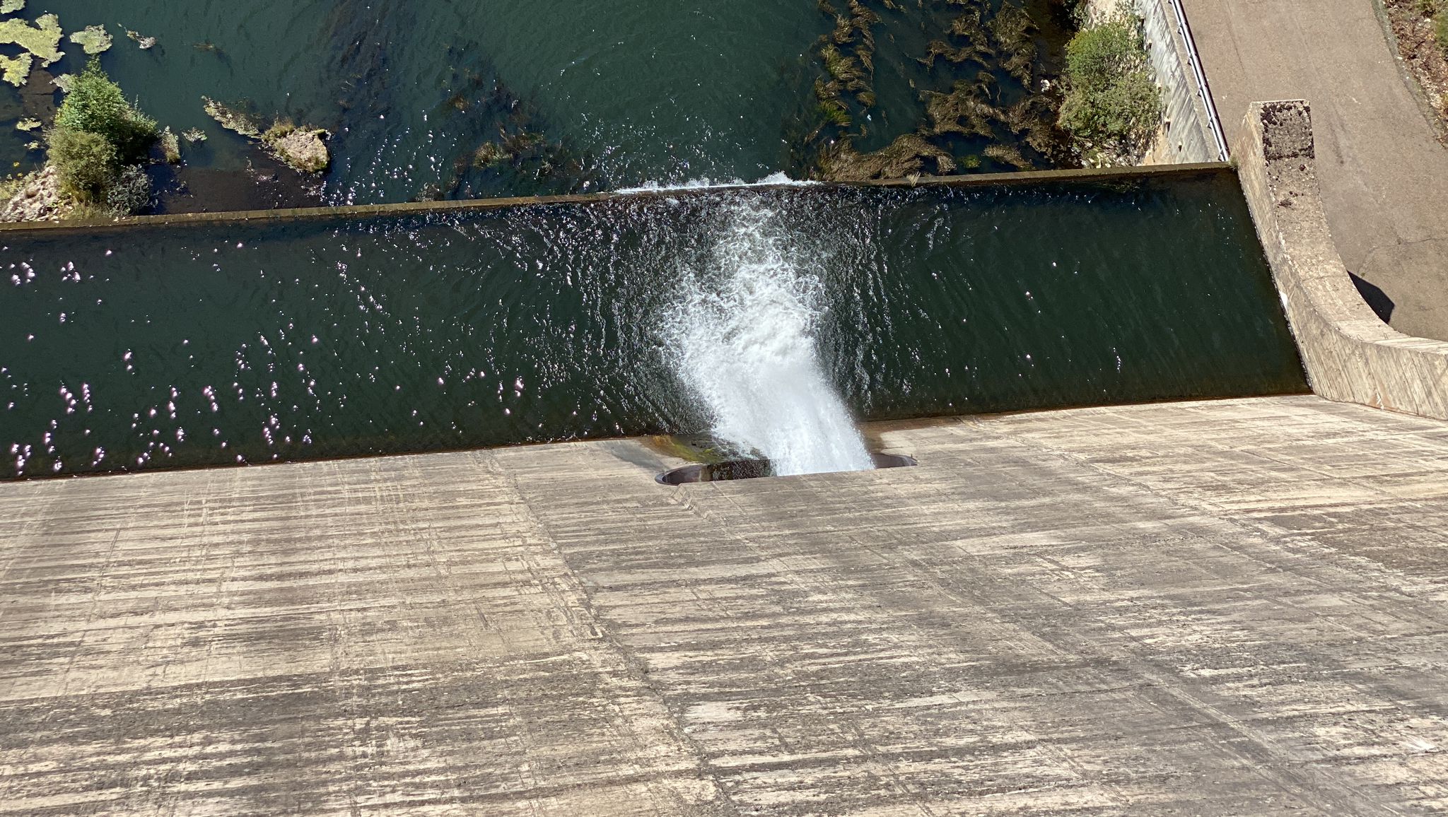 Fotos: Estado en el que se encuentra el pantano del Porma