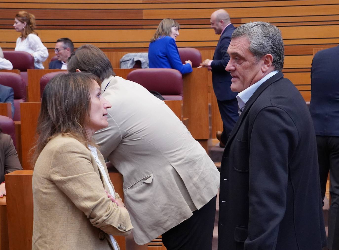 Primera sesión del pleno de las Cortes de Castilla y León, que comienza con las preguntas orales de la sesión de control al Ejecutivo..