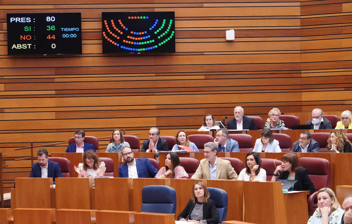 Pleno de las Cortes de Castilla y León