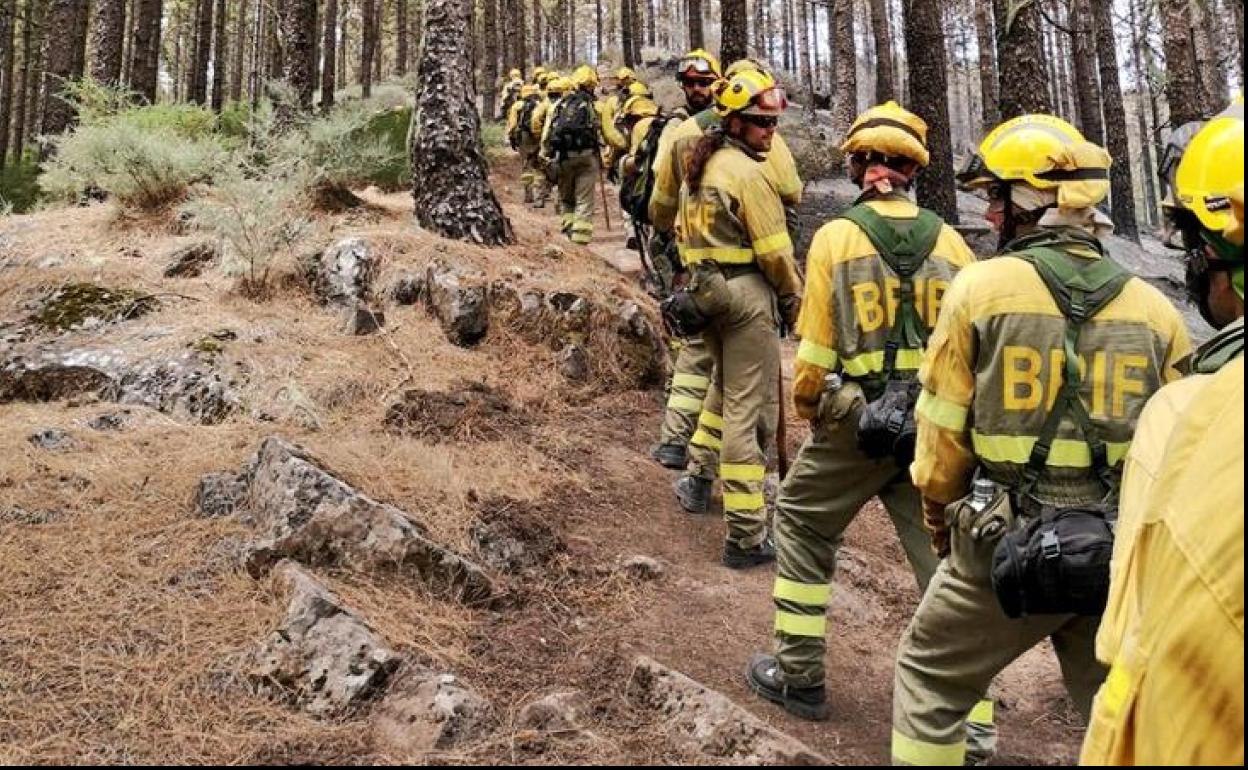 Efectivos de la Brif durante un operativo de prevención. Imagen de archivo.