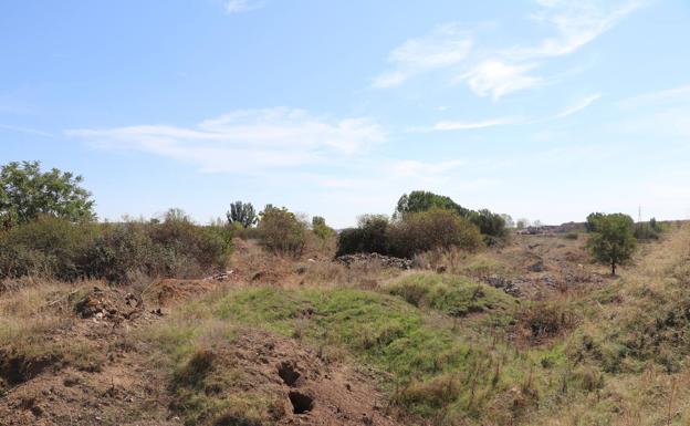 Galería. Zona de 'El soto', donde se ubicará la macroplanta de energías renovables en Puente Castro.