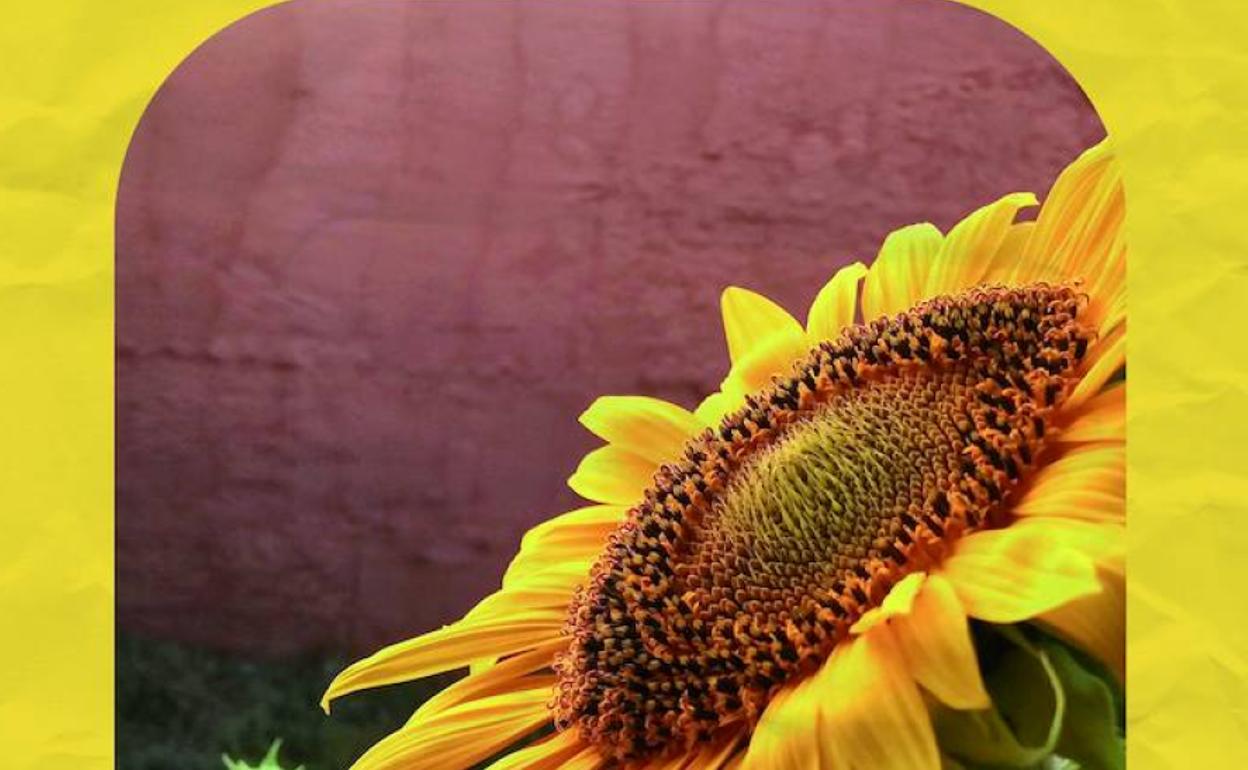 Abierto el plazo de inscripción para participar en el taller Laboratorio de Teatro Foro de la Concejalía de Juventud