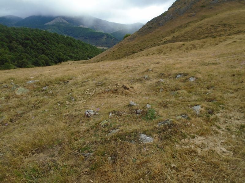 Un profesor de Irún, aficionado a los megalitos, descubre 13 manifestaciones megalíticas inéditas en las montaña de Maraña y Liegos. Se trataría de formaciones del primer milenio antes de Cristo. «Habría que excavar en la zona para conocer al detalle su riqueza», asegura. 