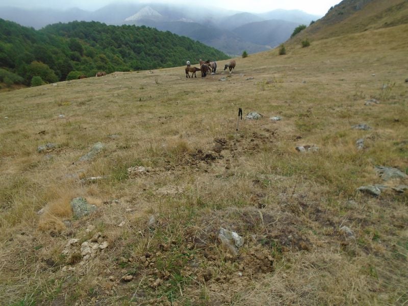 Un profesor de Irún, aficionado a los megalitos, descubre 13 manifestaciones megalíticas inéditas en las montaña de Maraña y Liegos. Se trataría de formaciones del primer milenio antes de Cristo. «Habría que excavar en la zona para conocer al detalle su riqueza», asegura. 