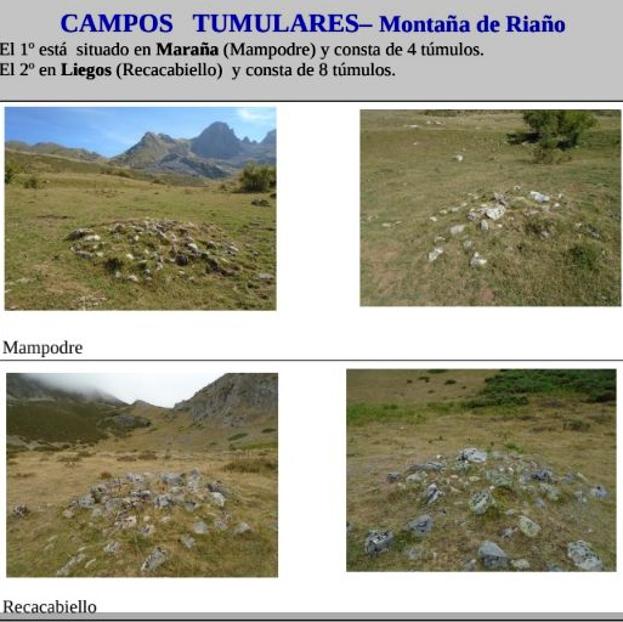 Imagen de los campos tumulares localizados en la zona. 