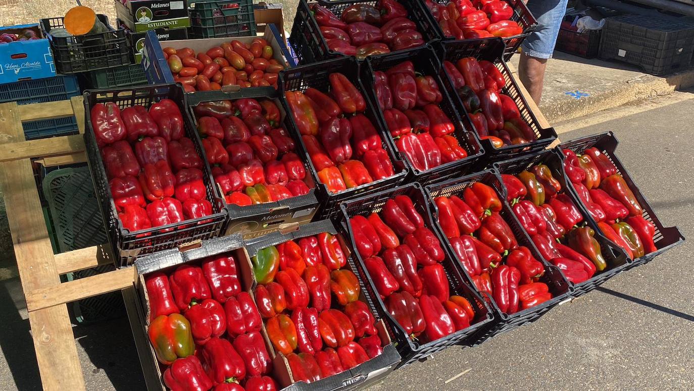 Feria del pimiento y diversos actos de Fresno de la de Vega. 