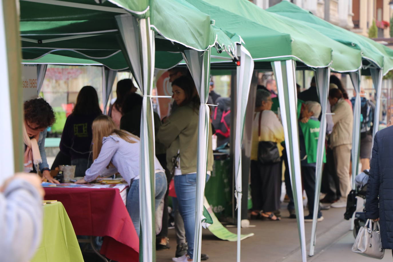 Celebración de la décima edición de la Feria del Voluntariado de León en Ordoño II.