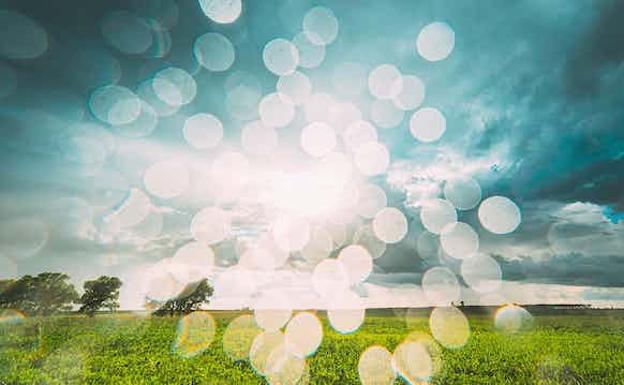 Una lluvia de virus y bacterias cae del cielo cada día