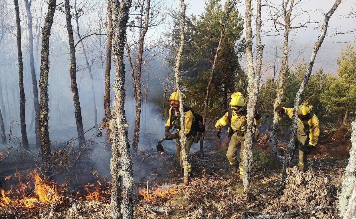 Efectivos antiincendios de la Junta de Castilla y León actúan contra el fuego en una imagen de archivo.