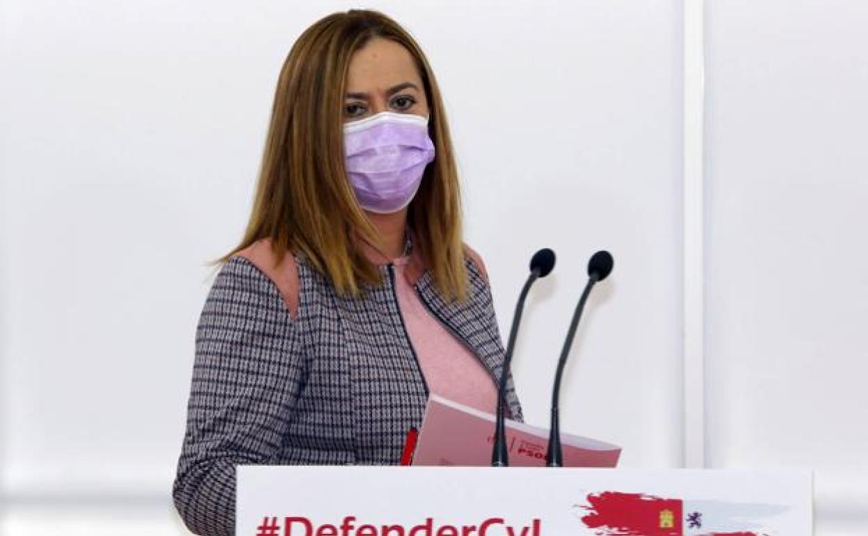 La delegada del Gobierno en Castilla y León, Virginia Barcones.