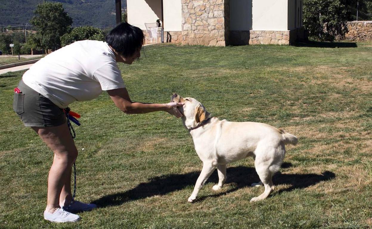 Una mujer juega con su perro en el jardín de una casa rural de Castilla y León. 