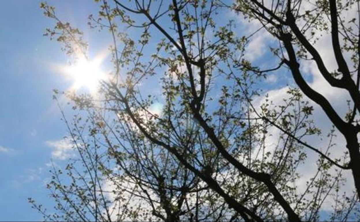 El domingo 2 de octubre presenta cielos despejados en toda la provincia de León. 