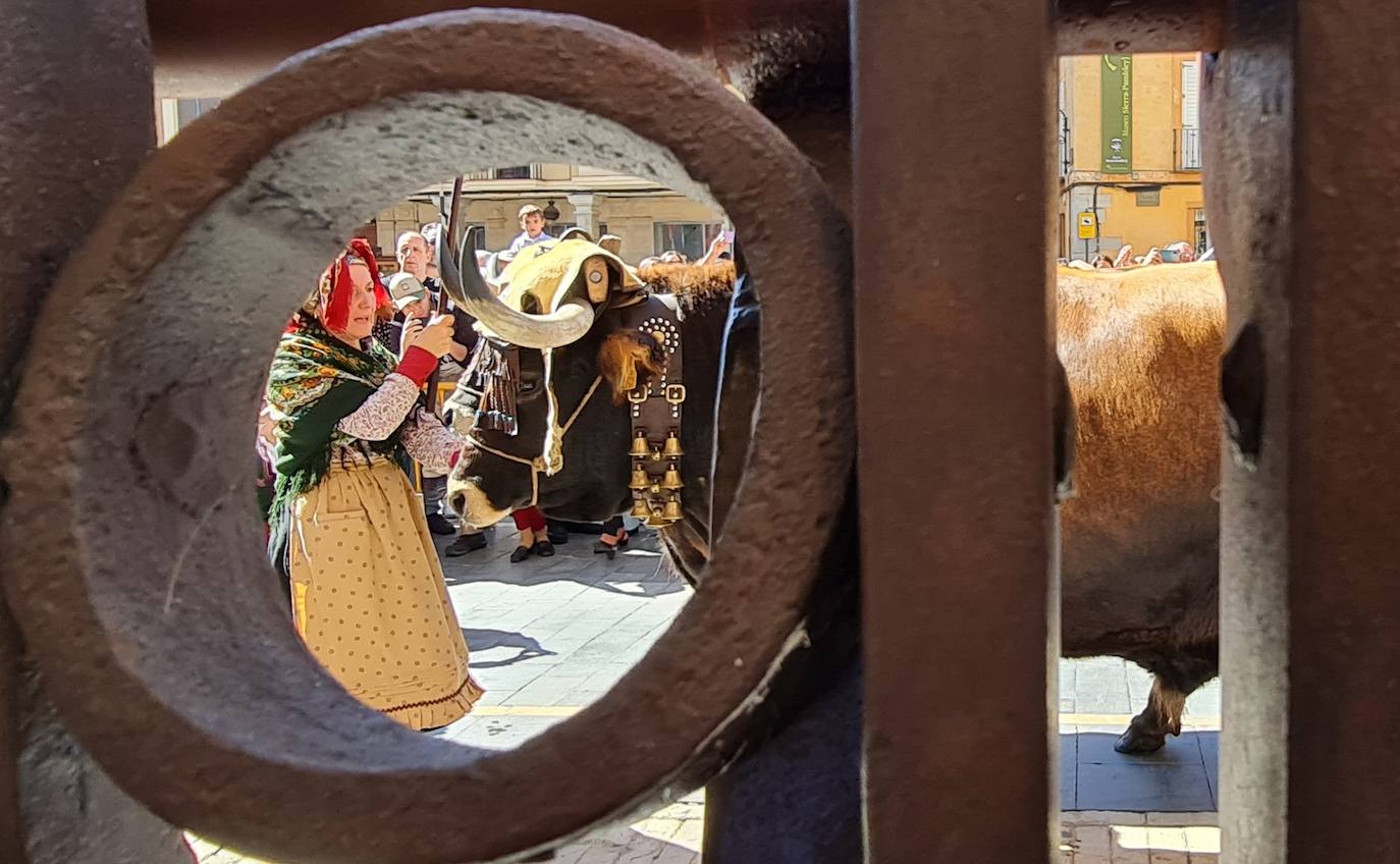 El resumen visual de la jornada de San Froilán en 60 imágenes a pide de calle. León se deja ver abarrotado en la antesala de una nueva cita tradicional, en esta ocasión en el alfoz de la capital. 