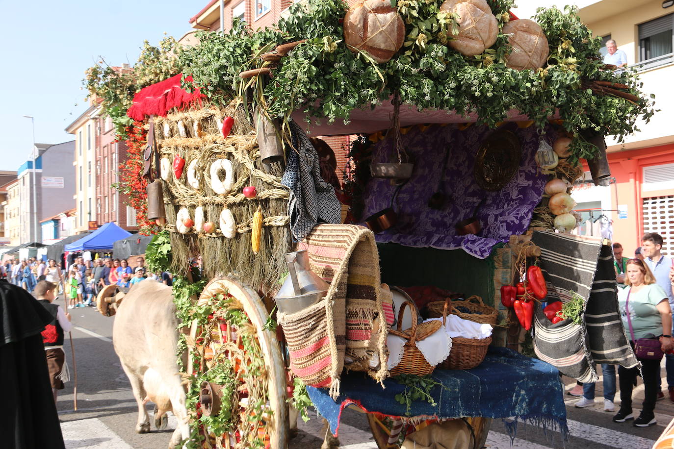 Desfile de pendones y carros engalanados en la romería de San Froilán. 