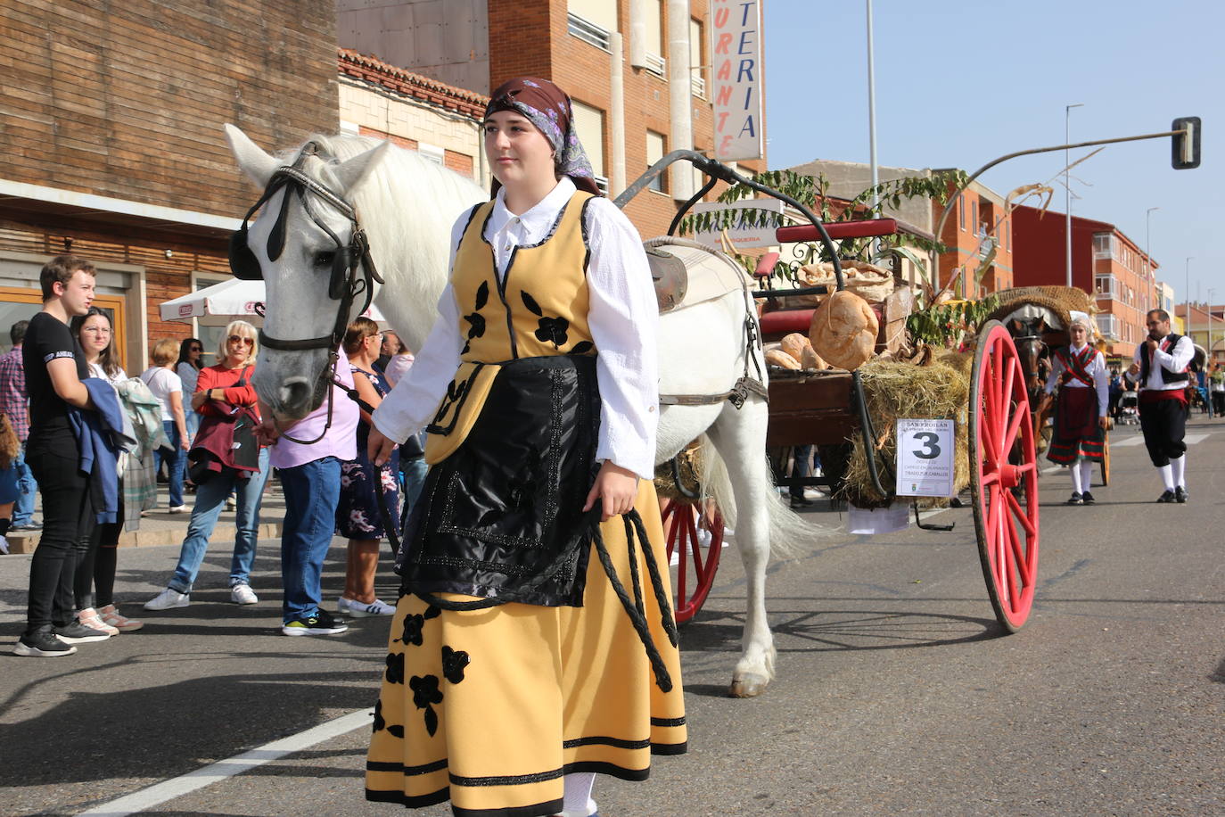 Desfile de pendones y carros engalanados en la romería de San Froilán. 