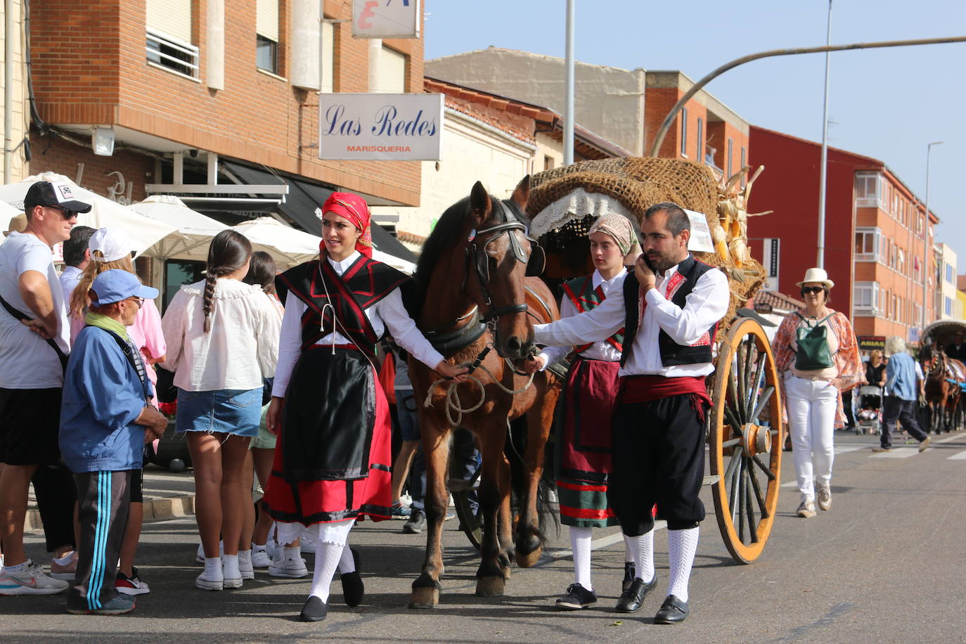 Desfile de pendones y carros engalanados en la romería de San Froilán. 