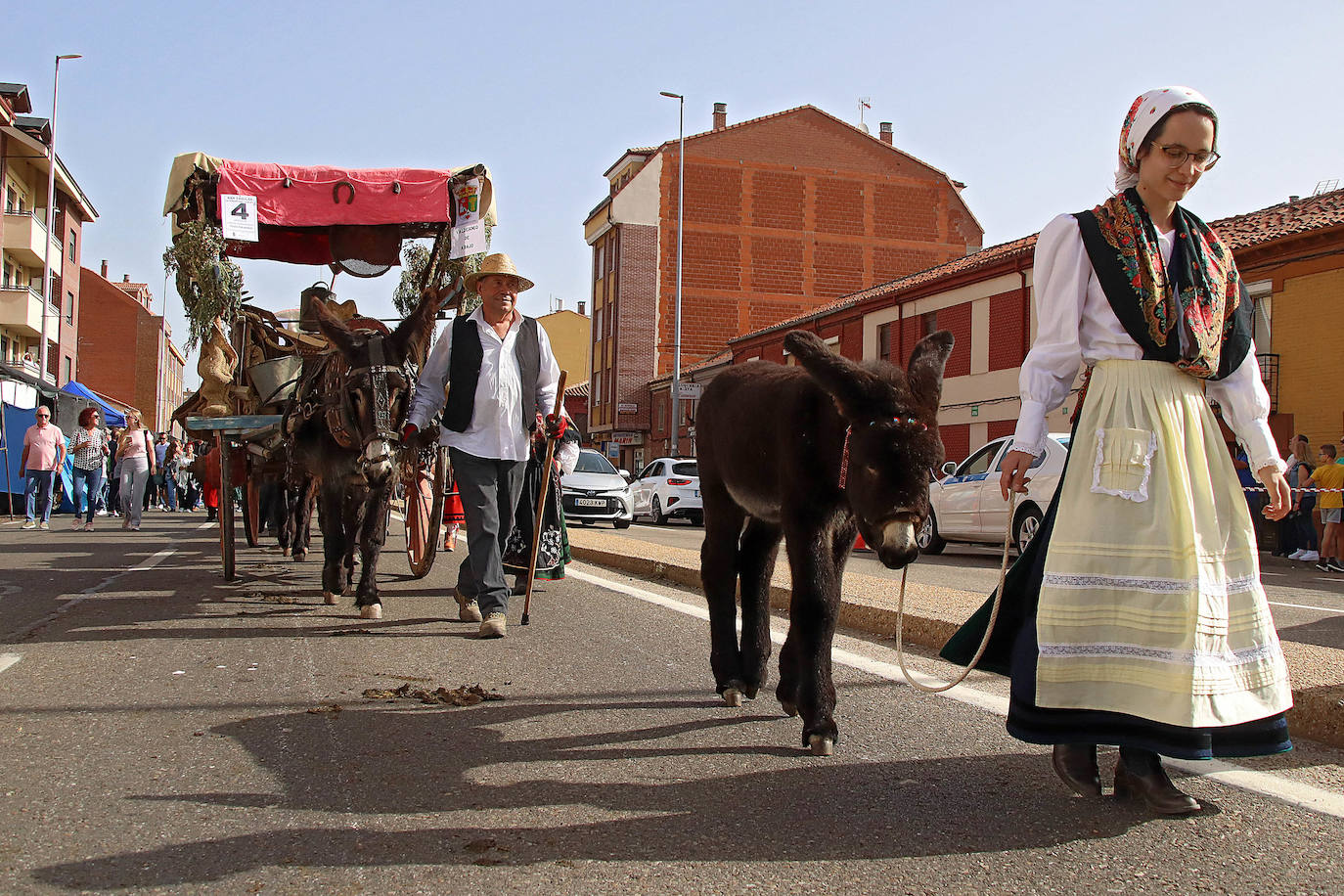 tradicional romería de pendones y carros engalanados de San Froilán y eucaristía presidida por el obispo Luis Ángel de las Heras