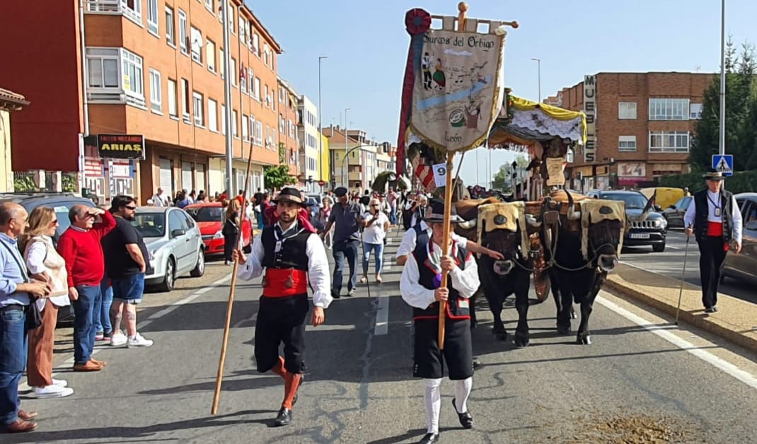 Pendones, carros engalanados y más de 50.000 romeros protagonizan el gran día de las festividades de San Froilán