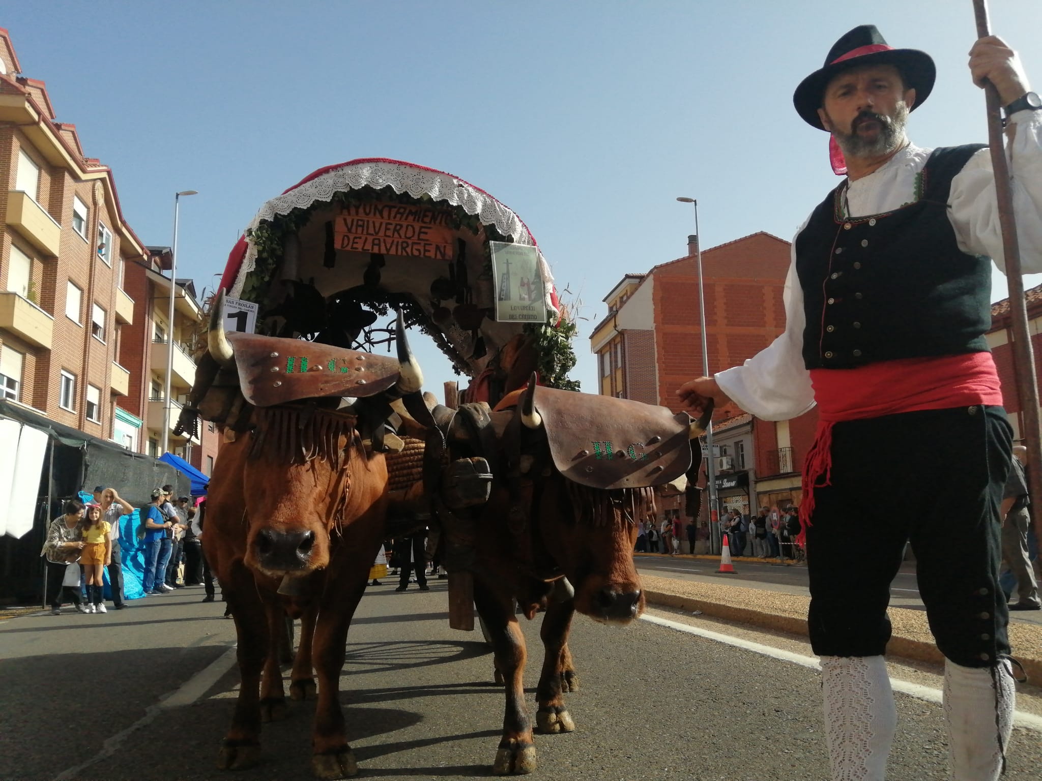 Pendones, carros engalanados y más de 50.000 romeros protagonizan el gran día de las festividades de San Froilán